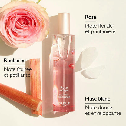 Coffret Eau Fraîche Rose de Vigne